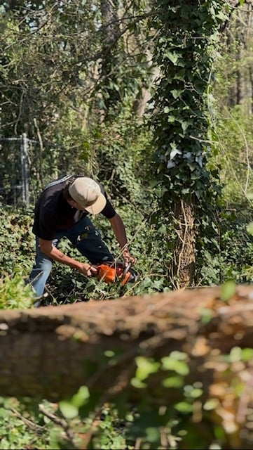 Man wearing straw hat using chainsaw to cut log in overgrown forest surrounded by ivy and vegetation